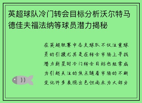 英超球队冷门转会目标分析沃尔特马德佳夫福法纳等球员潜力揭秘