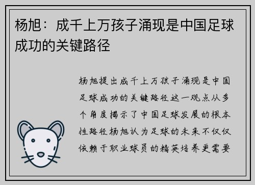 杨旭：成千上万孩子涌现是中国足球成功的关键路径